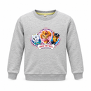 Size 160 Kids’ Grey PAW Patrol Crew Neck Sweatshirt
