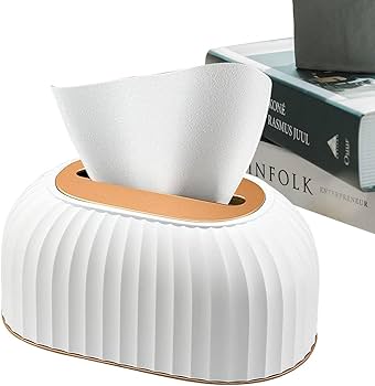 Sriped Tissue Box 1072250 - TUZZUT Qatar Online Shopping