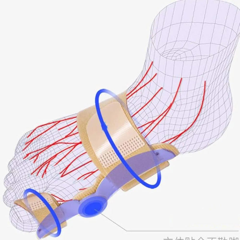 Foot Orthotics Big Toe WSG840 - TUZZUT Qatar Online Shopping