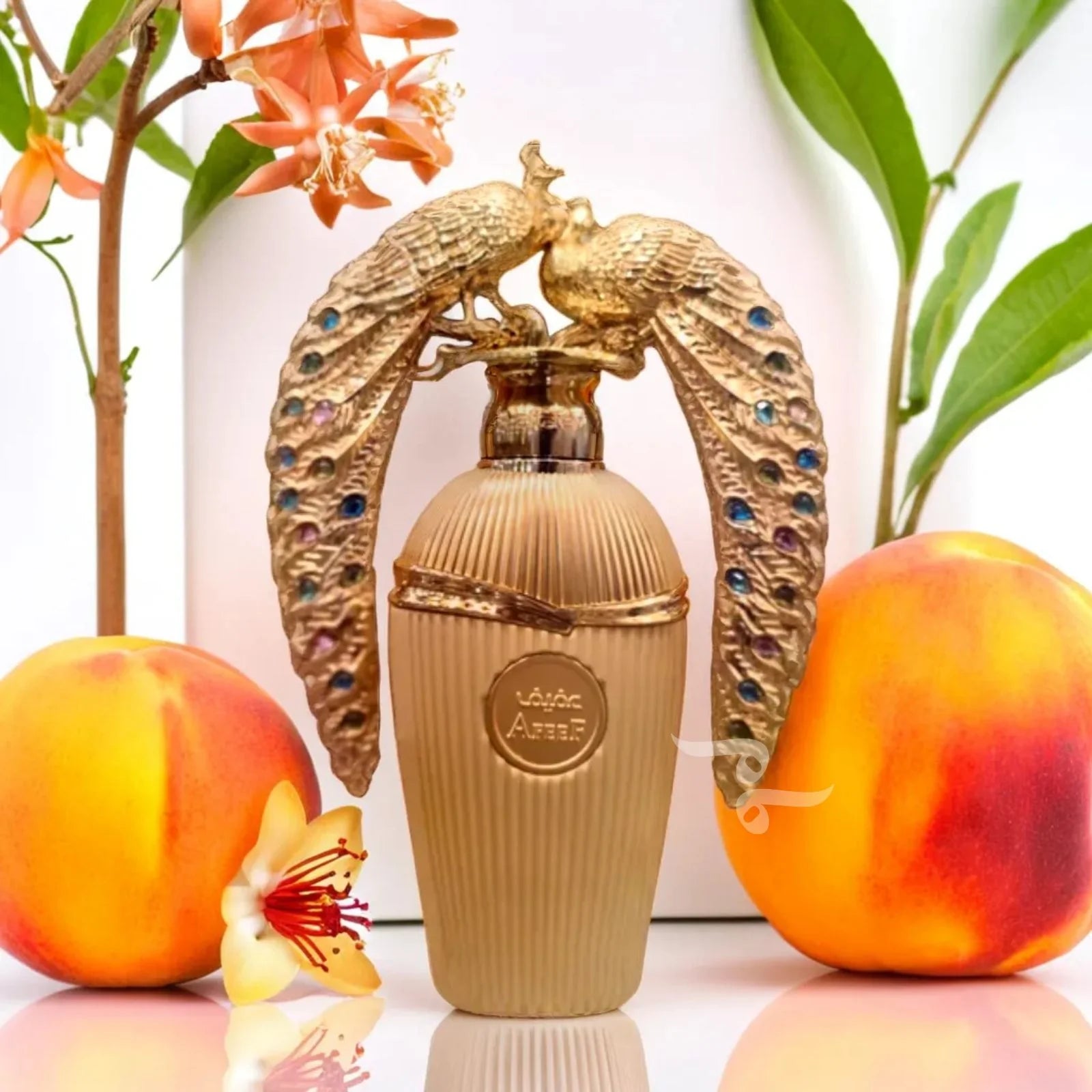 Lattafa Afeef Eau de Parfum 100ml for Unisex Lattafa Afeef Eau de Parfum 100ml for Unisex