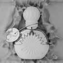 Al Nuaim Asad 9.9ml Attar Roll-On Perfumed Oil - TUZZUT Qatar Online Shopping