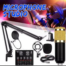 Professional Condenser Microphone - TUZZUT Qatar Online Shopping