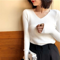 Women's Long Sleeve Solid Color Knit Top 315818- Free Size