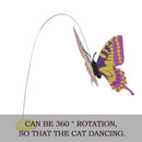 Befied Electric Cat Toy B-5977110 - TUZZUT Qatar Online Shopping