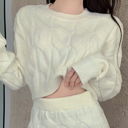 2 Pcs Women's Long Sleeve Solid Color Skirts Set 469446 2 Pcs Women's Long Sleeve Solid Color Skirts Set 469446