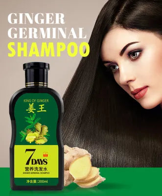 King Of Ginger 7 Days Ginger Germinal Hair Oil 30ml + Shampoo 200ml Combo - TUZZUT Qatar Online Shopping