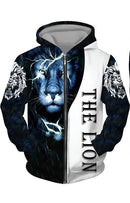 3D Print Men's Zipper Hoodie And Shorts     S473299 - TUZZUT Qatar Online Shopping