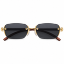 Luxury Rimless Rectangular Sunglasses-43