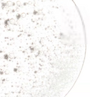 The Ordinary Alpha Arbutin 2% + HA Serum 30ml - TUZZUT Qatar Online Shopping