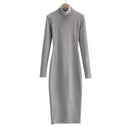 Women's Autumn/Winter Polo Neck Turtle Neck Sanding Thickened Slim Fit Long Sleeve Dress Inner Tight Hip-Hugging Long Skirt   X912047 - TUZZUT Qatar Online Shopping