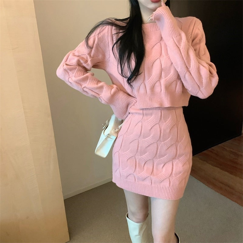 2 Pcs Women's Long Sleeve Solid Color Skirts Set 469446 2 Pcs Women's Long Sleeve Solid Color Skirts Set 469446