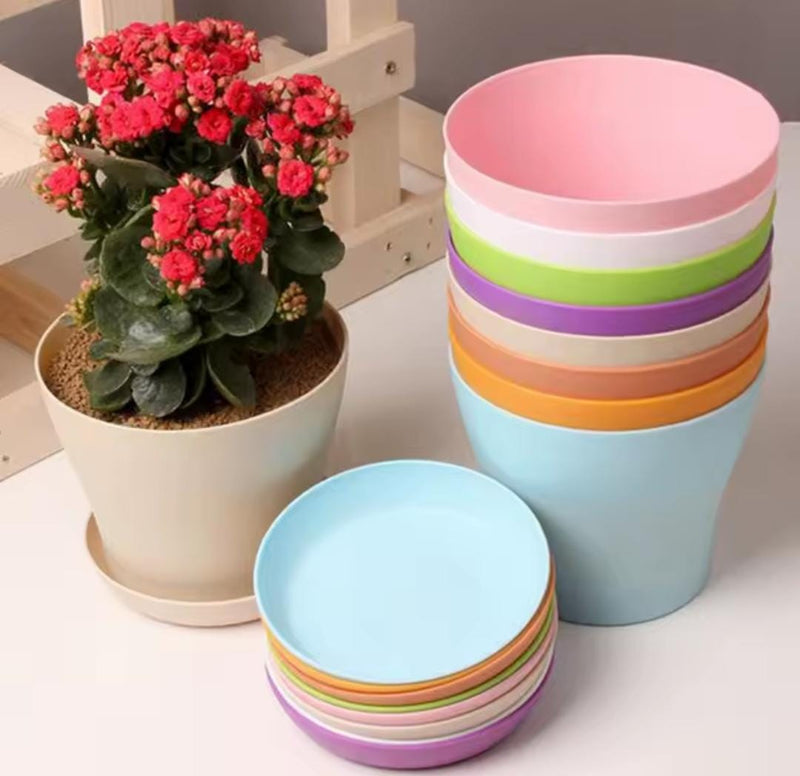 Colorful Durable Resin Flower Pot  PRO252 - TUZZUT Qatar Online Shopping