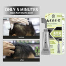 Fruit Leaf Dyeing Shampoo 100ml - TUZZUT Qatar Online Shopping