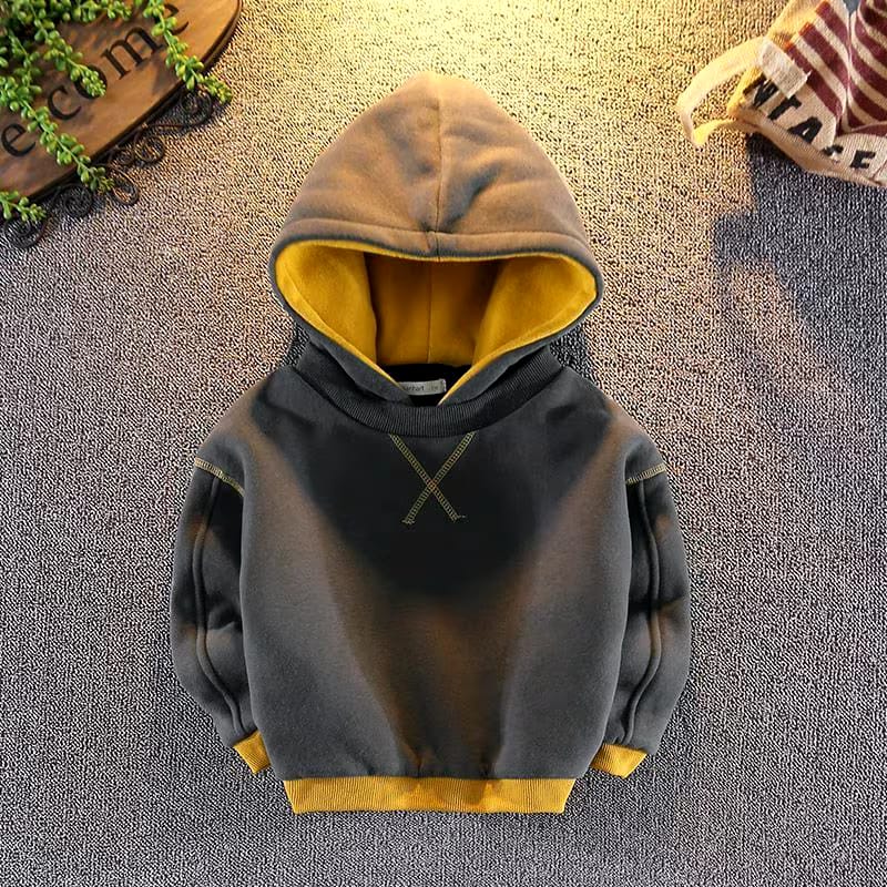 Boys Hoodie 129547 - ( 2-3 Y) Boys Hoodie 129547 - ( 2-3 Y)