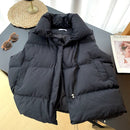 Women's Padded Coat 341539 -S - TUZZUT Qatar Online Shopping