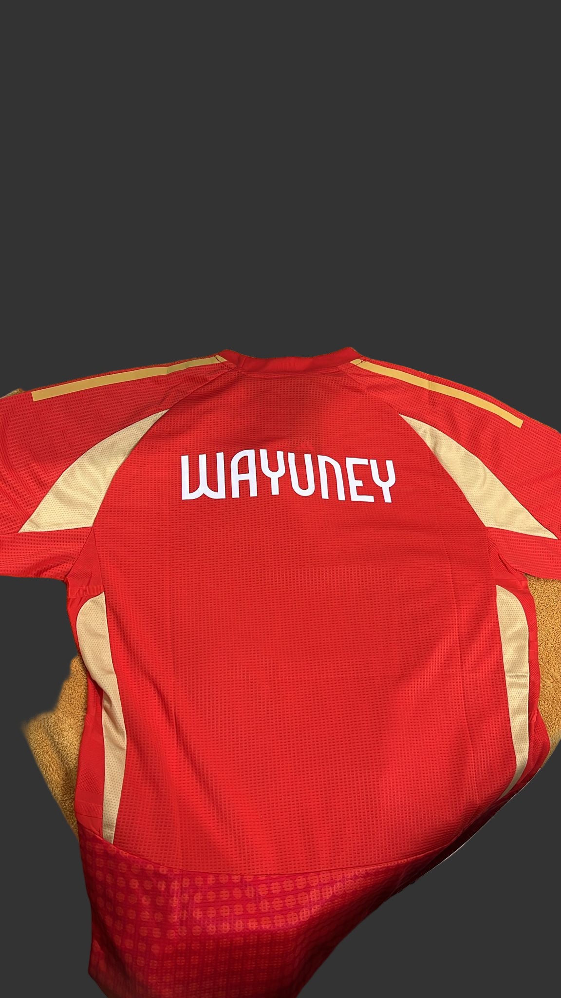 Al Ahly SC HOME Player Version JERSEY 201568 Al Ahly SC HOME Player Version JERSEY 201568