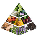 Al Khadlaj Hareem Al Sultan Gold Concentrated Oil Perfume 35 ml - TUZZUT Qatar Online Shopping