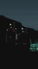 Afnan 9pm Pour Femme eau de parfum For Women 100ml