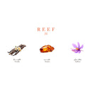 Reef Mood 31 Air Freshener by Reef Perfumes - 200ml - TUZZUT Qatar Online Shopping