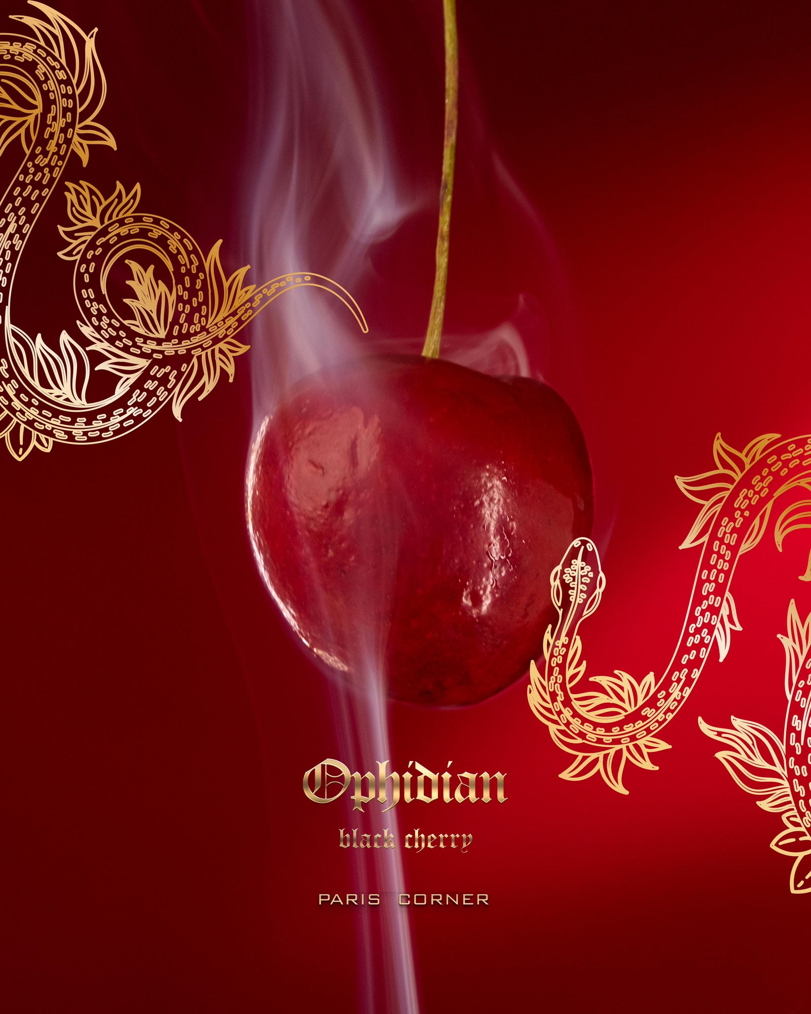 Paris Corner Ophidian Black Cherry EDP Perfume 100ml Paris Corner Ophidian Black Cherry EDP Perfume 100ml