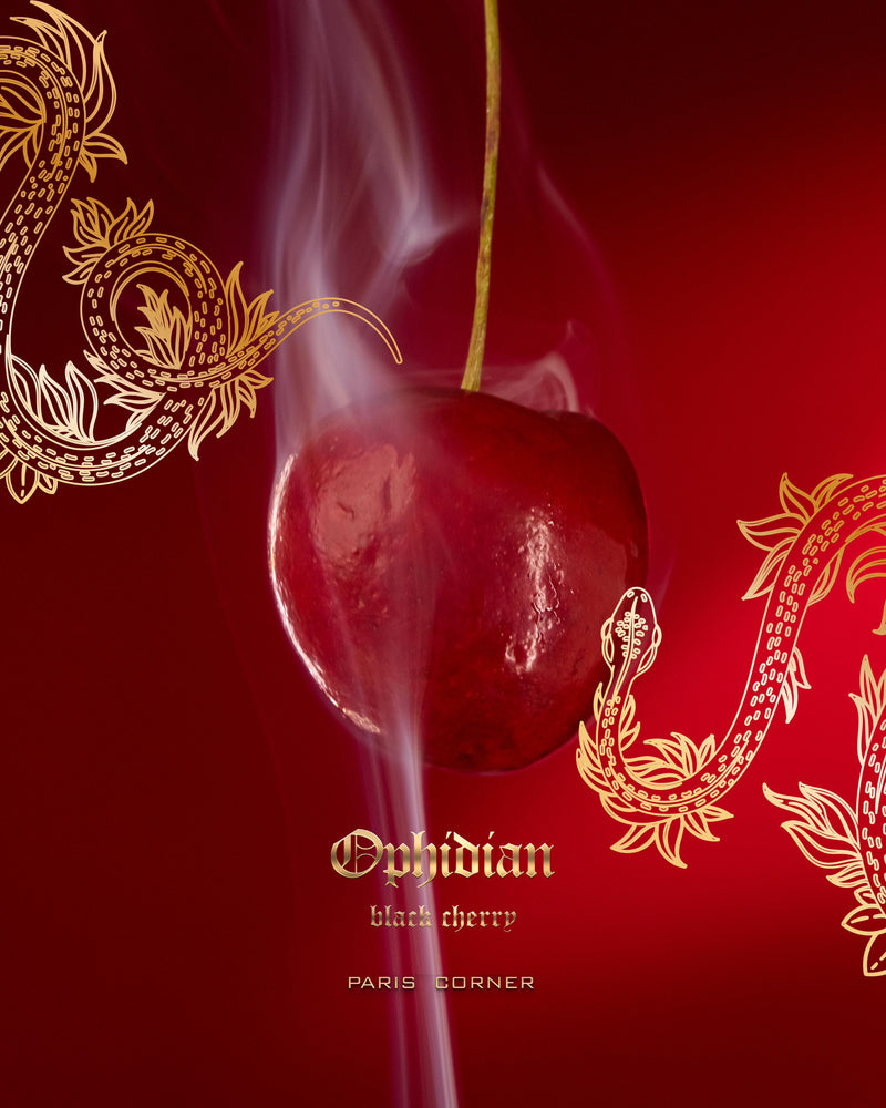 Paris Corner Ophidian Black Cherry EDP Perfume 100ml - TUZZUT Qatar Online Shopping