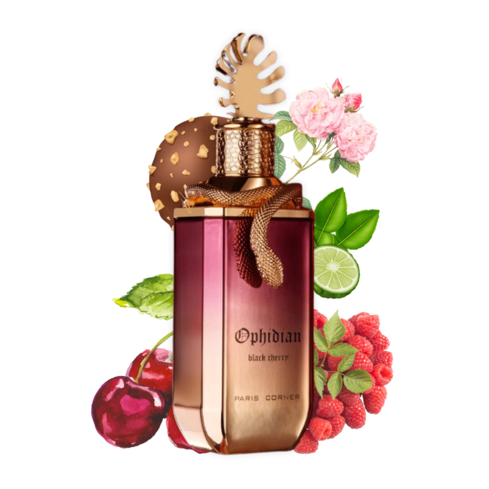 Paris Corner Ophidian Black Cherry EDP Perfume 100ml Paris Corner Ophidian Black Cherry EDP Perfume 100ml