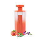 Reef Pesca EDP 200ml Perfume by Reef Perfumes - TUZZUT Qatar Online Shopping