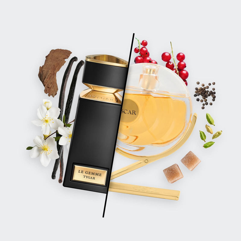 Maison Asrar OSCAR – EDP 100ml | Inspired by Bvlgari Le Gemme Tygar - TUZZUT Qatar Online Shopping