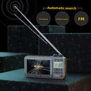 Sansui F50 Full-wave Band Video Radio Bluetooth TF Card Insertion - TUZZUT Qatar Online Shopping