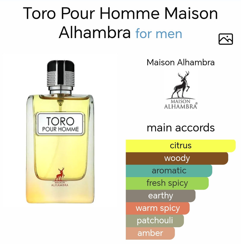 Maison Alhambra Toro Pour Homme EDP Spray 100ml | Inspired by Hermès Terre d'Hermès - TUZZUT Qatar Online Shopping