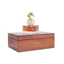 Aurora The Garden of Eden EDP 100ml for Men - TUZZUT Qatar Online Shopping