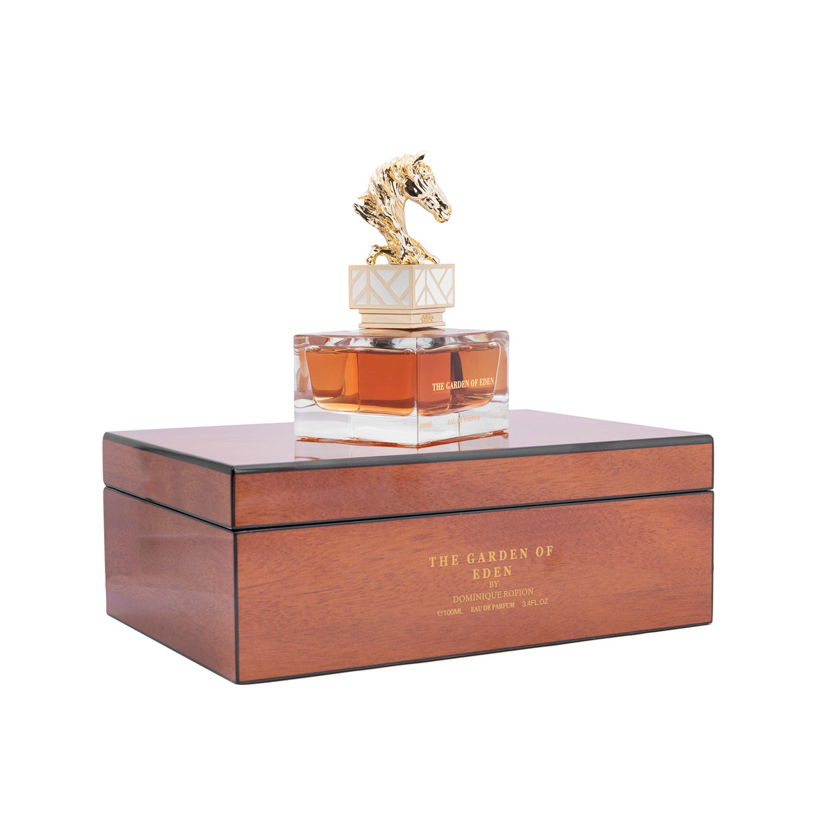 Aurora The Garden of Eden EDP 100ml for Men Aurora The Garden of Eden EDP 100ml for Men