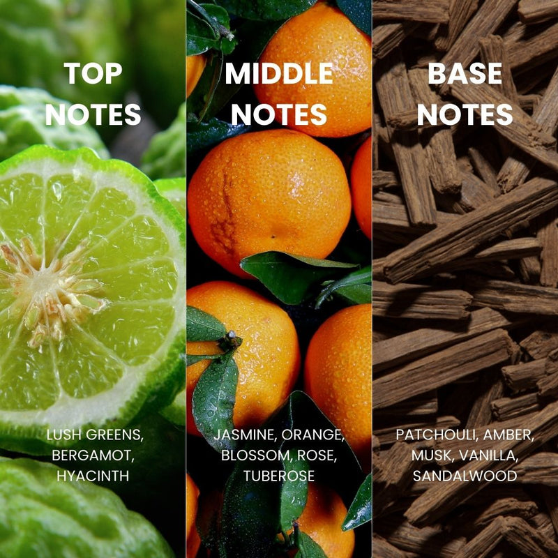 Royal Mirage Original Eau De Cologne 120ML For Men & Women - TUZZUT Qatar Online Shopping