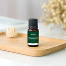 Green Lion 8 IN 1 Combo Fragrance Essential Oil Set | Scented Aroma Diffuser Oil (10ml x 8) - TUZZUT Qatar Online Shopping