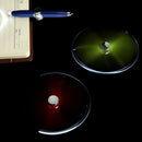 Hand Spinner Pen - TUZZUT Qatar Online Shopping