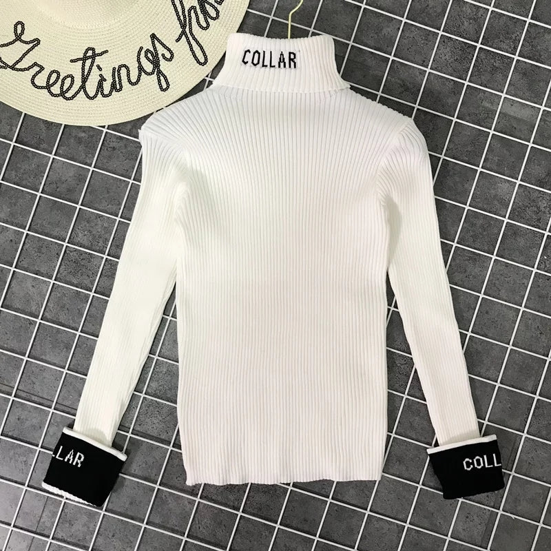 Women's Fashion High Collar Knitting Sweater Women's Fashion High Collar Knitting Sweater