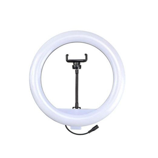 YQ-320 Ring Light 30cm with Stand,12 30W Dimmable LED Ring Light with Remote Control and Touch Key - TUZZUT Qatar Online Store