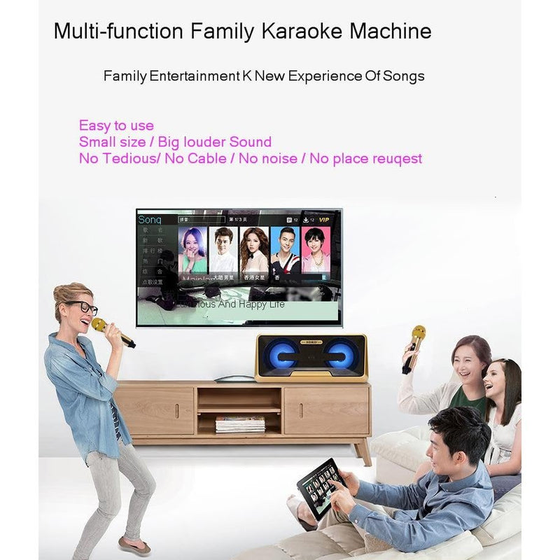 SDRD SD-301 Family KTV Portable Wireless Live Dual Microphone + Bluetooth Speaker - Tuzzut.com Qatar Online Shopping