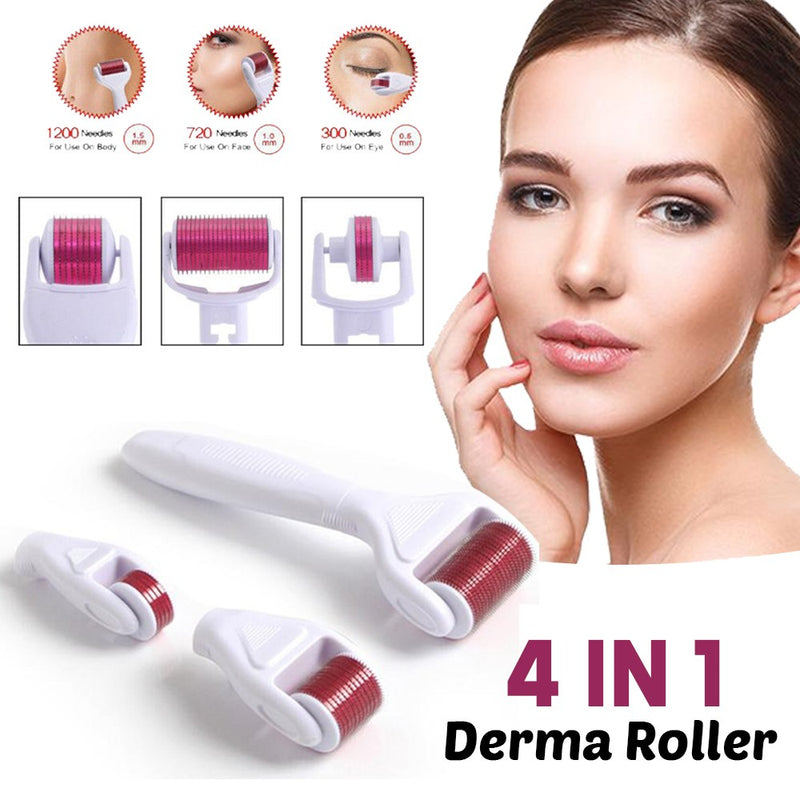 4 In 1 Derma Roller Set Stainless Micro Needles With Travel Case - Tuzzut.com Qatar Online Shopping
