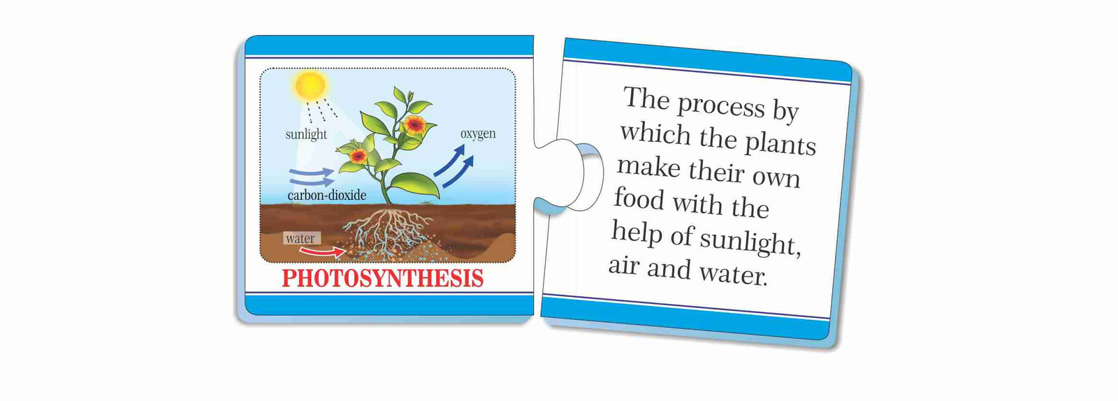 Science Knowledge Boosters- Plants Science Knowledge Boosters- Plants