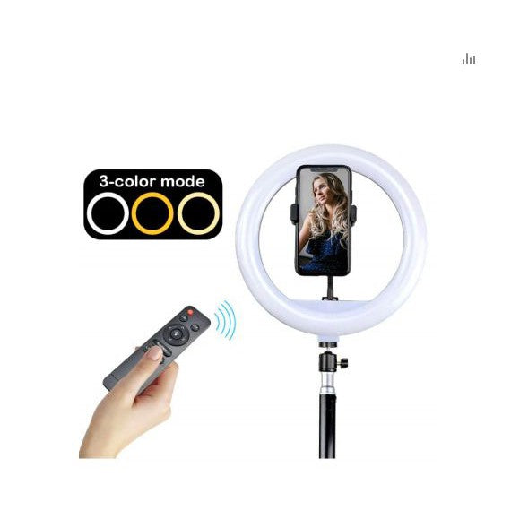 YQ-320 Ring Light 30cm with Stand,12 30W Dimmable LED Ring Light with Remote Control and Touch Key - TUZZUT Qatar Online Store