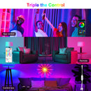 RGB Firework Led Music Light Strip with Remote and App Control - Tuzzut.com Qatar Online Shopping
