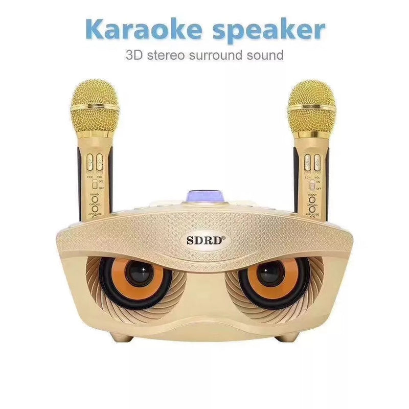 SDRD SD 306 Portable Family Karaoke System Bluetooth Speaker with Two Wireless Microphones - Tuzzut.com Qatar Online Shopping