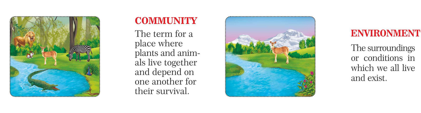 Science Knowledge Boosters-Habitats Science Knowledge Boosters-Habitats
