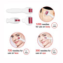 4 In 1 Derma Roller Set Stainless Micro Needles With Travel Case - Tuzzut.com Qatar Online Shopping