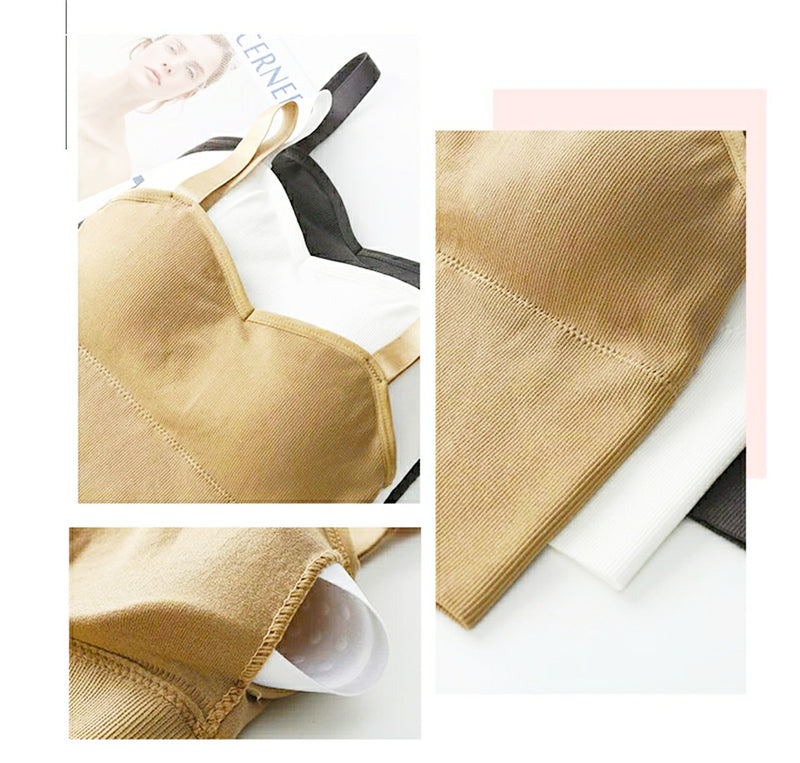 4 Pcs Women's Sports Seamless Vest Padded Bras Crop Top - D8006 - TUZZUT Qatar Online Store
