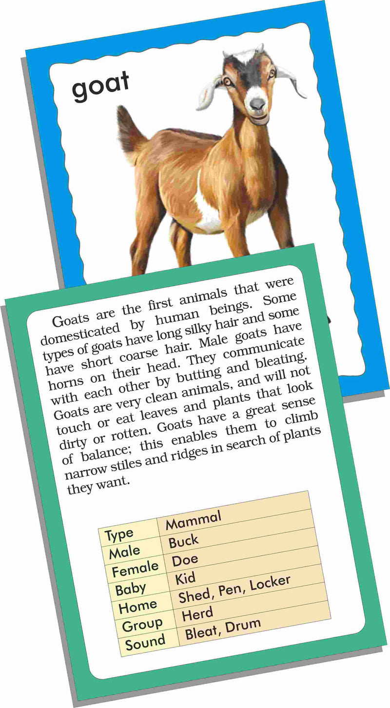 Discover Animals-FLASH CARDS - Tuzzut.com Qatar Online Shopping