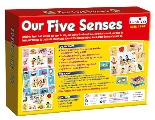 Our Five Senses (New) - Tuzzut.com Qatar Online Shopping