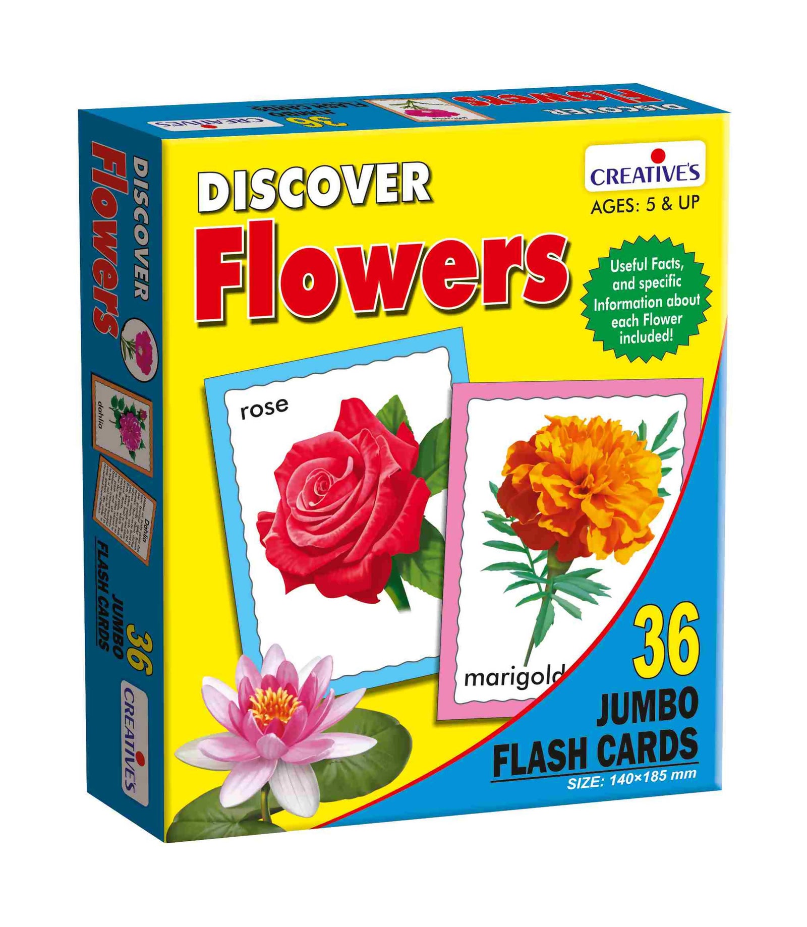 Discover Birds - FLASH CARDS Discover Birds - FLASH CARDS
