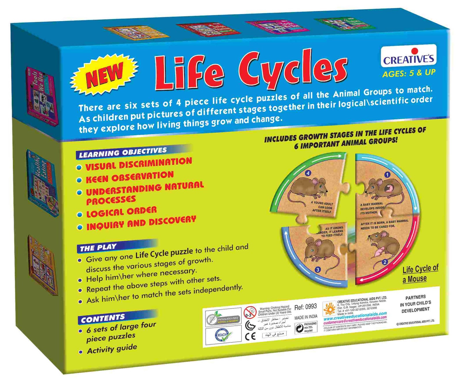 Life Cycles Life Cycles